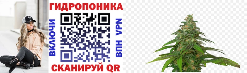 Бошки марихуана индика Наволоки